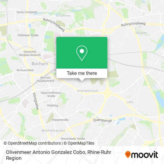 Карта Olivenmeer Antonio Gonzalez Cobo