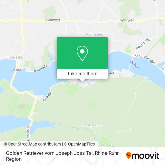 Golden Retriever vom Joseph Joss Tal map