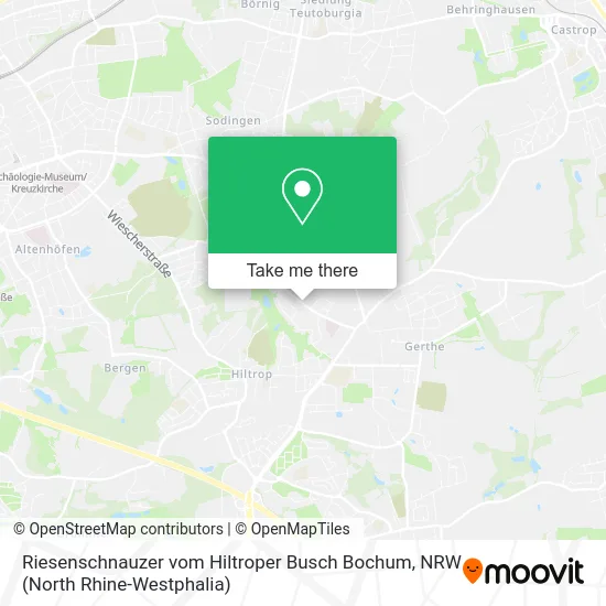 Riesenschnauzer vom Hiltroper Busch Bochum map