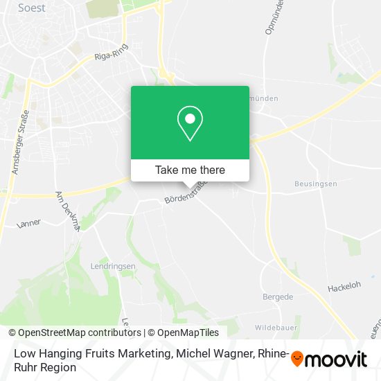Low Hanging Fruits Marketing, Michel Wagner map