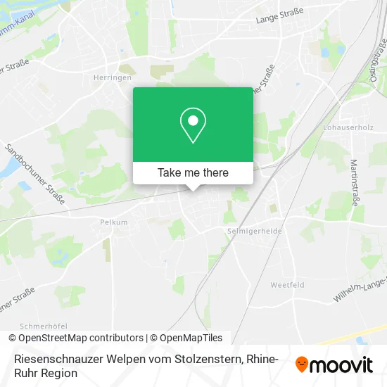 Riesenschnauzer Welpen vom Stolzenstern map