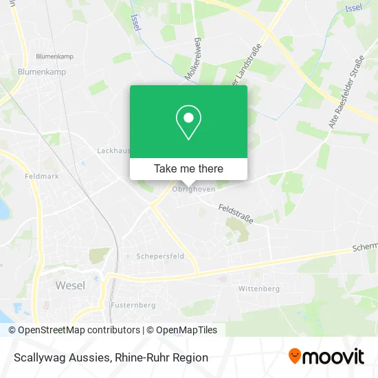 Карта Scallywag Aussies