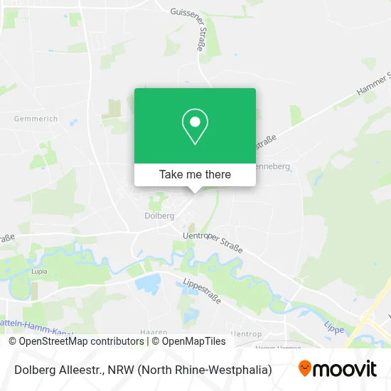 Dolberg Alleestr. map