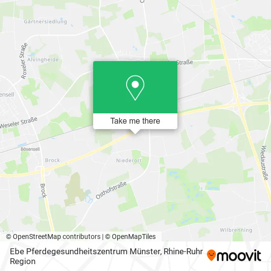 Карта Ebe Pferdegesundheitszentrum Münster