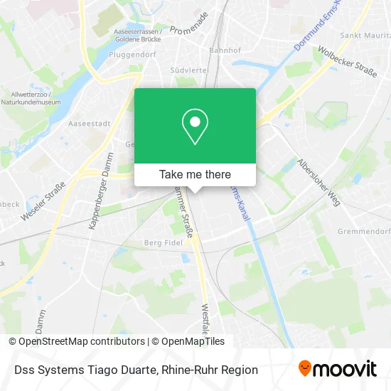 Карта Dss Systems Tiago Duarte