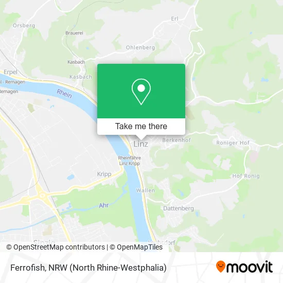 Карта Ferrofish