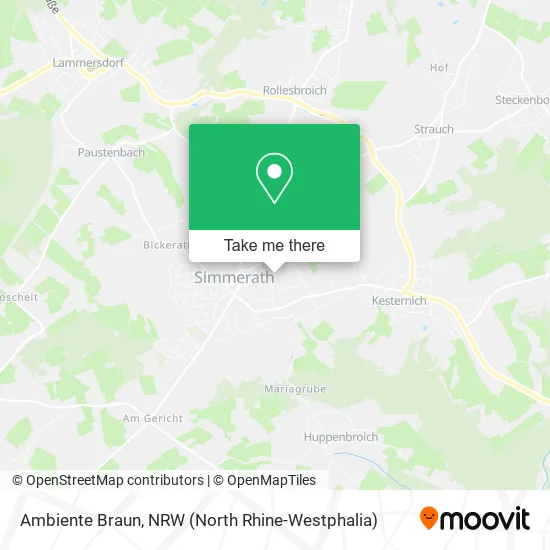Карта Ambiente Braun