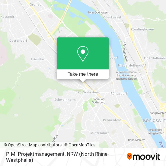 Карта P. M. Projektmanagement