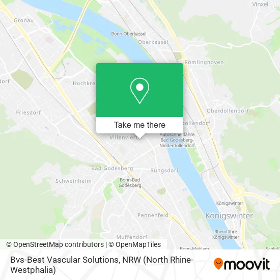 Карта Bvs-Best Vascular Solutions