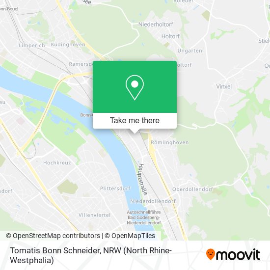 Tomatis Bonn Schneider map