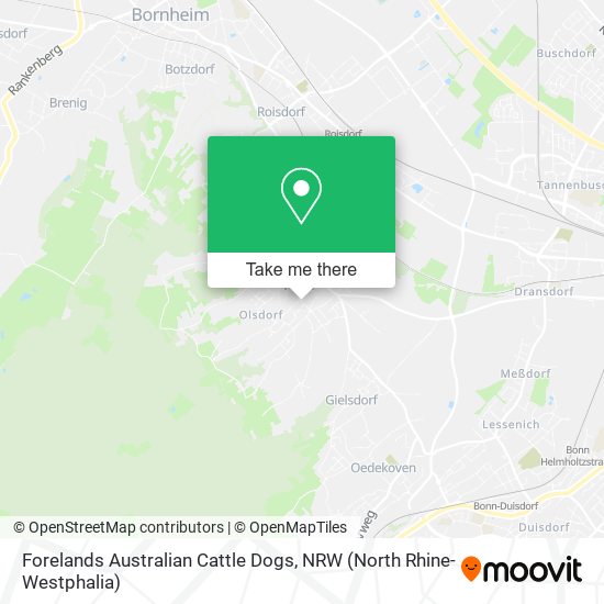 Forelands Australian Cattle Dogs map