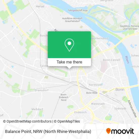 Карта Balance Point