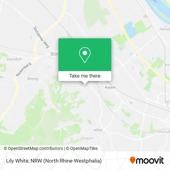 Карта Lily White