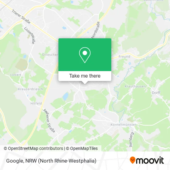 Карта Google