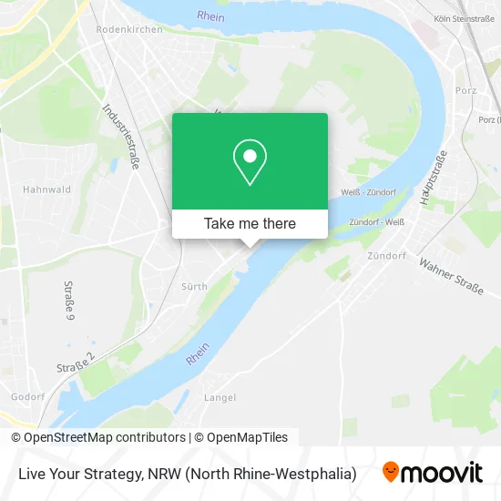 Карта Live Your Strategy