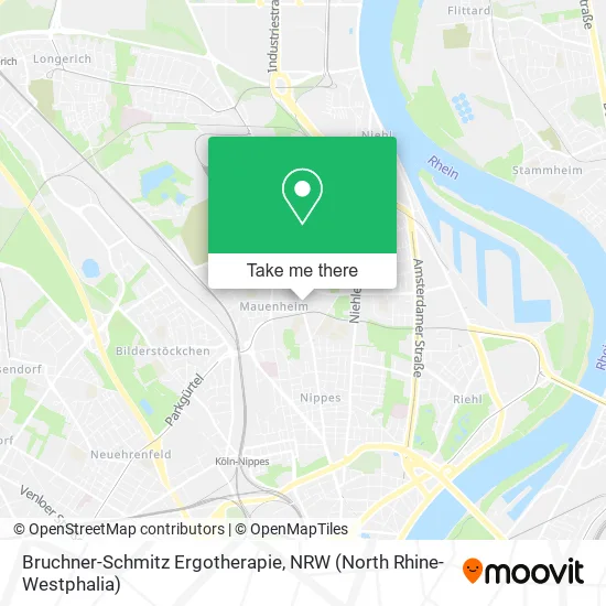 Карта Bruchner-Schmitz Ergotherapie