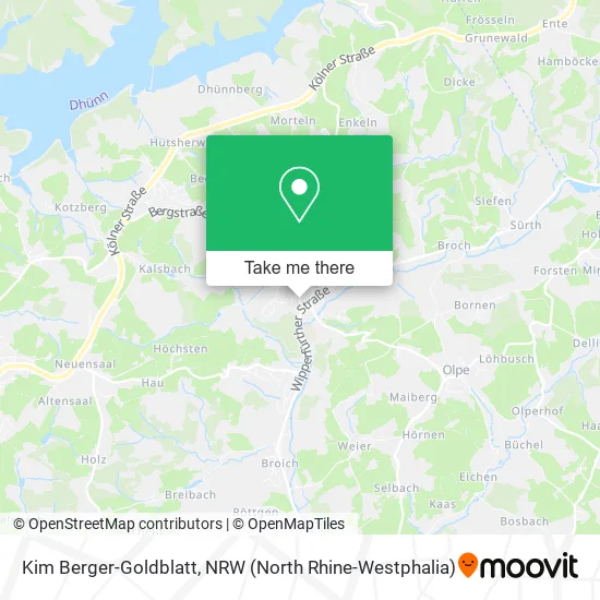 Карта Kim Berger-Goldblatt