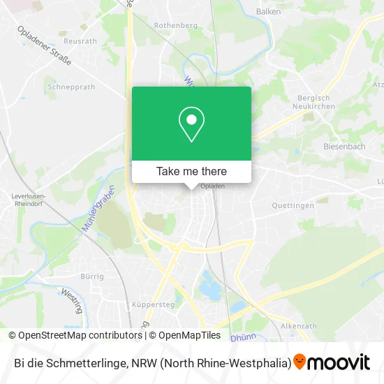 Карта Bi die Schmetterlinge