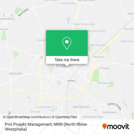 Pmi Projekt Management map