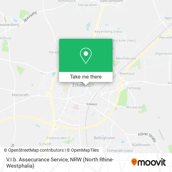 Карта V.I.b. Assecurance Service