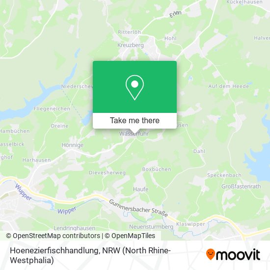 Hoenezierfischhandlung map
