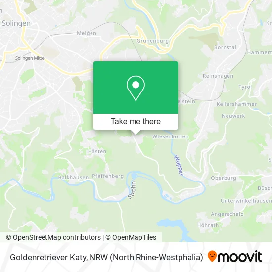 Карта Goldenretriever Katy