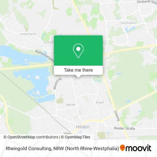 Карта Rheingold Consulting