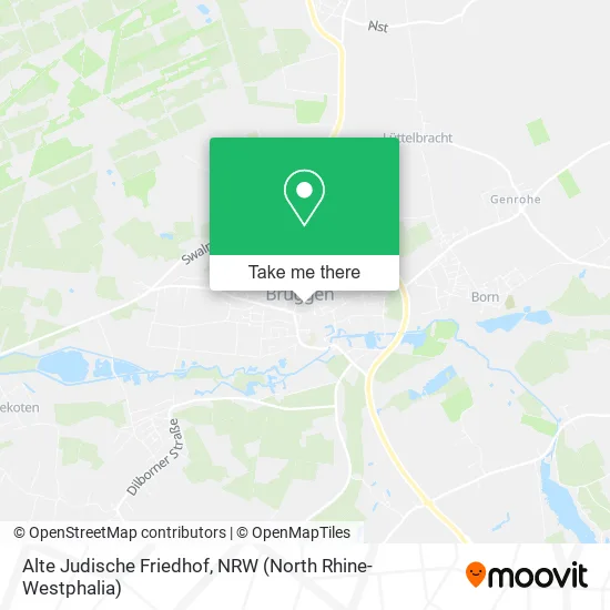 Alte Judische Friedhof map