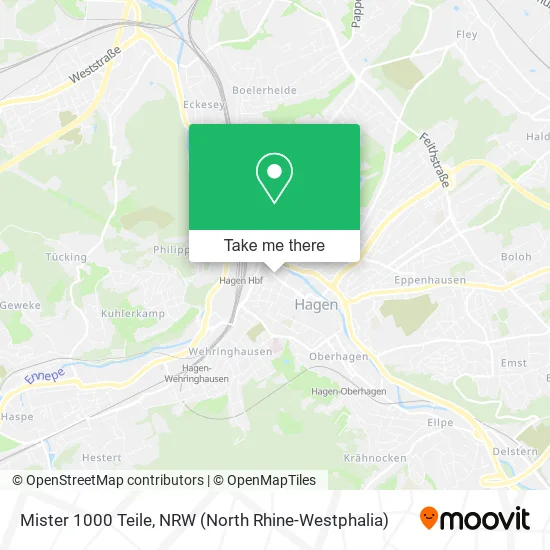 Mister 1000 Teile map