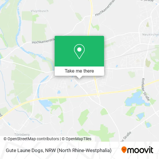 Карта Gute Laune Dogs