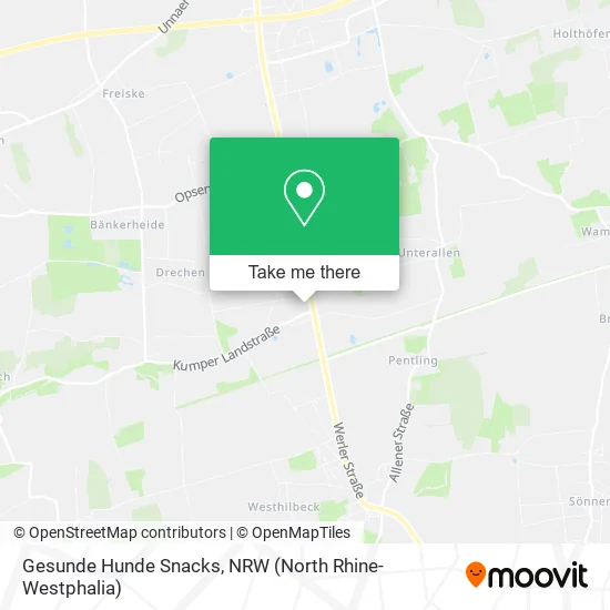 Gesunde Hunde Snacks map