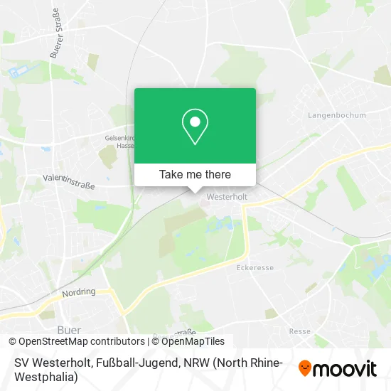 Карта SV Westerholt, Fußball-Jugend