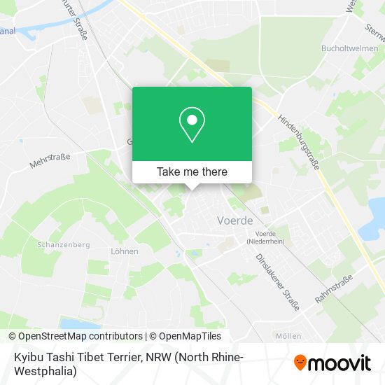 Kyibu Tashi Tibet Terrier map