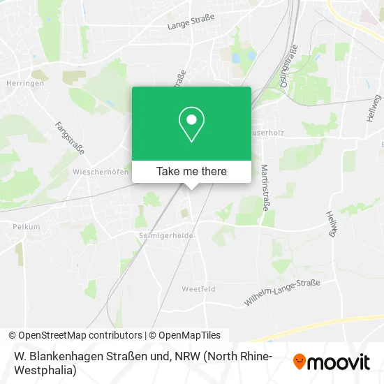 Карта W. Blankenhagen Straßen und