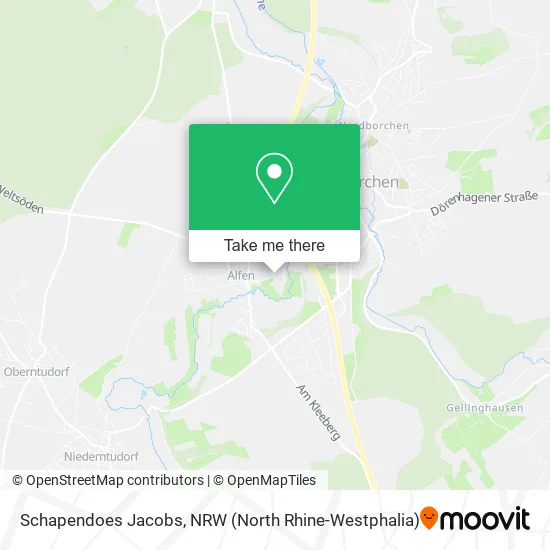 Карта Schapendoes Jacobs