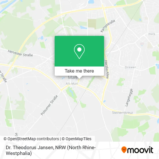 Карта Dr. Theodorus Jansen