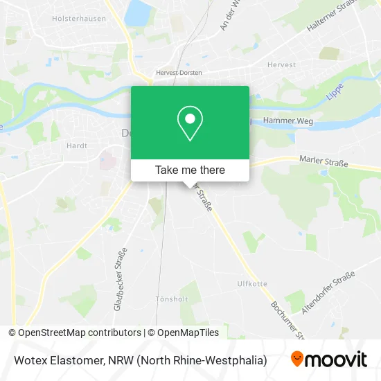 Карта Wotex Elastomer