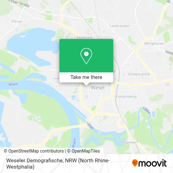 Weseler Demografische map