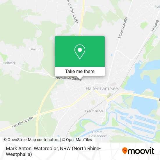 Mark Antoni Watercolor map