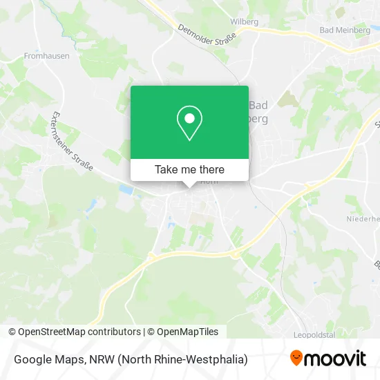 Карта Google Maps