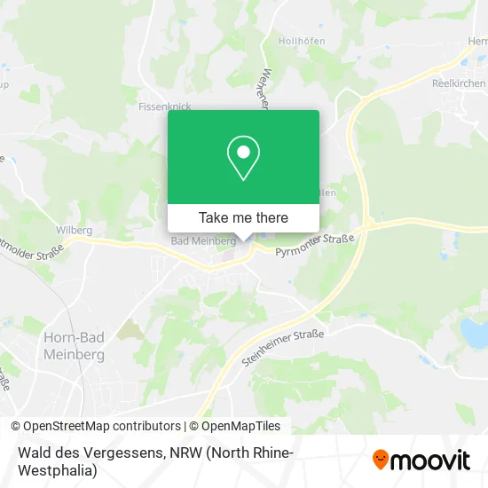 Карта Wald des Vergessens