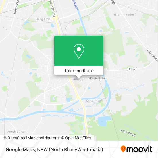 Карта Google Maps