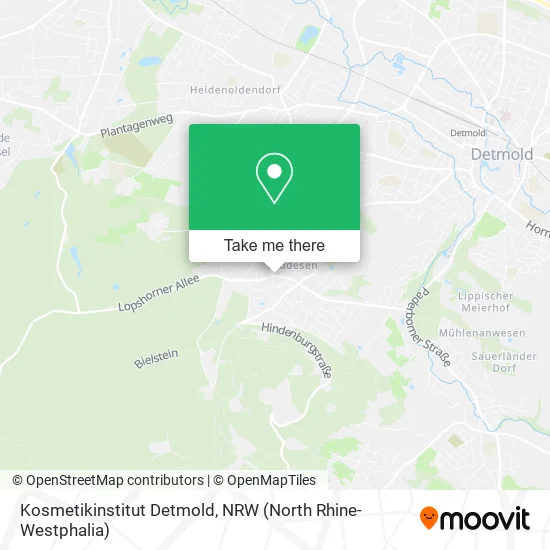 Kosmetikinstitut Detmold map
