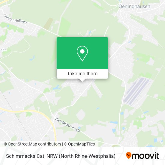 Schimmacks Cat map