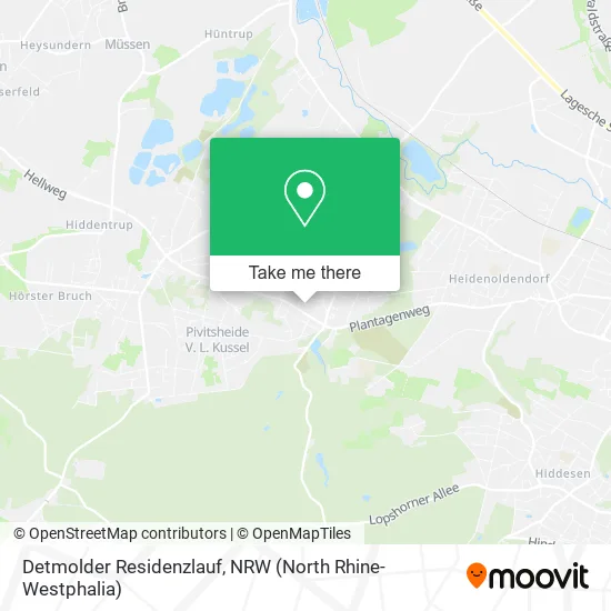 Карта Detmolder Residenzlauf