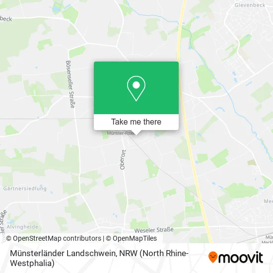 Карта Münsterländer Landschwein