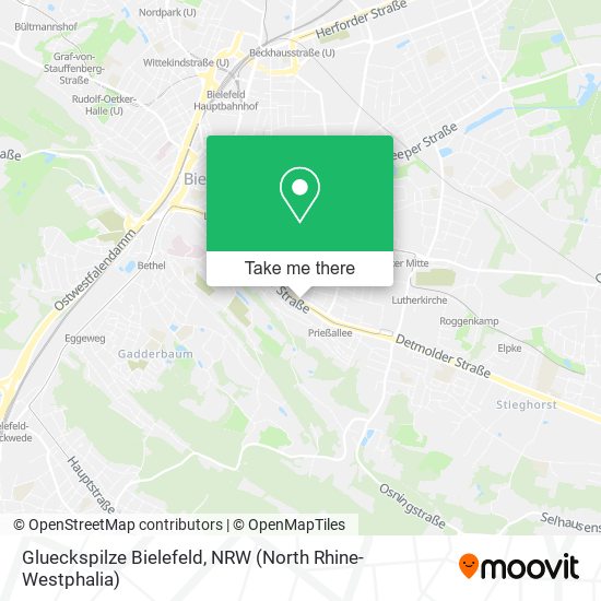 Glueckspilze Bielefeld map
