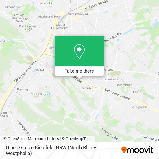 Карта Glueckspilze Bielefeld