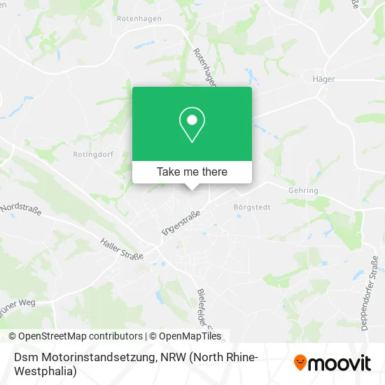 Карта Dsm Motorinstandsetzung