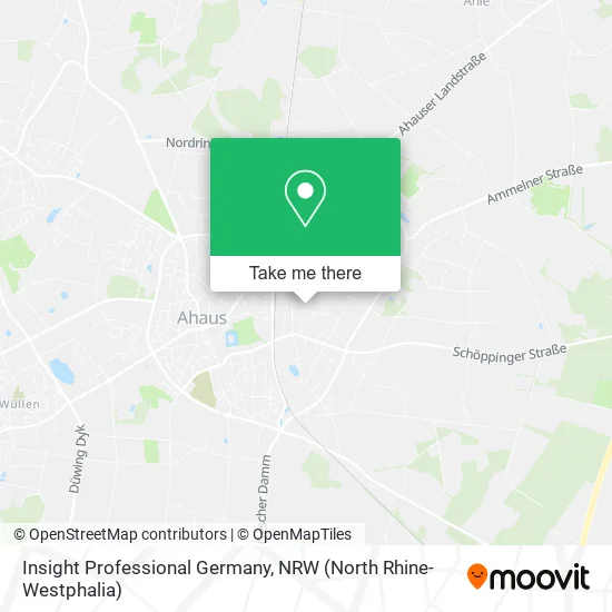 Карта Insight Professional Germany